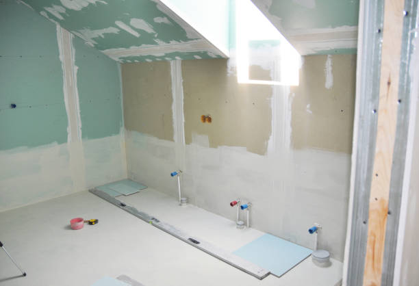 Trusted Mount Pleasant, SC Mold Removal Experts