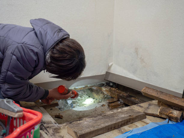 Best Forensic Mold Investigation  in Mount Pleasant, SC