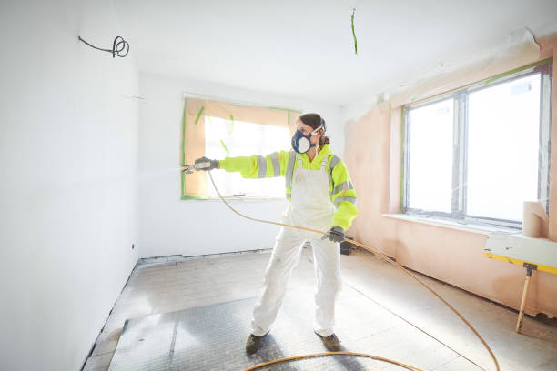 Best Mold Damage Restoration  in Mount Pleasant, SC