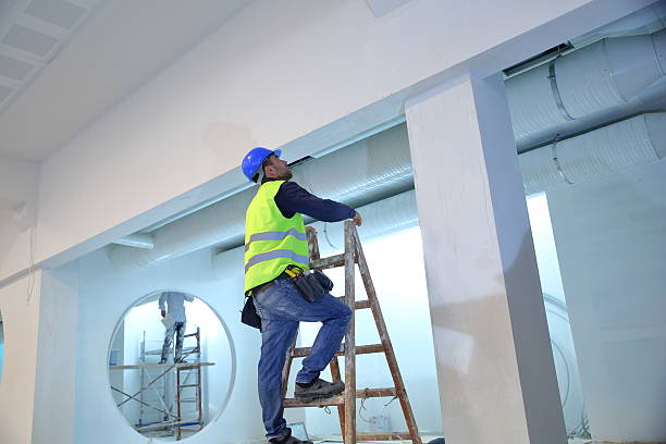 Best Post-Construction Mold Inspection  in Mount Pleasant, SC