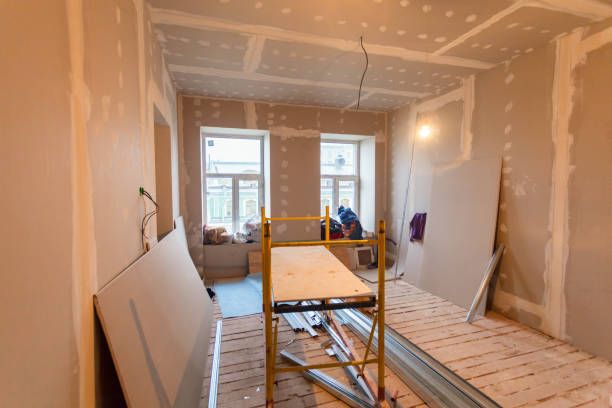 Best Industrial Mold Remediation  in Mount Pleasant, SC